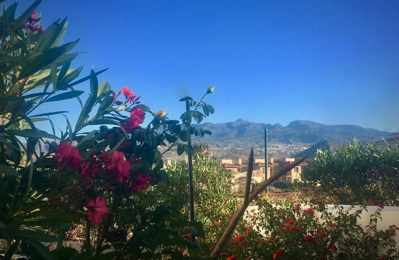 Cosy Flat Near Golf Club - Heated Pool, Terrace, Garden, Wi-Fi Διαμέρισμα Σαν Μιγκέλ ντε Αμπόνα